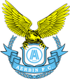 Logo for Dalian Professional FC