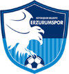 Logo for Erzurum BB