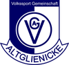 Logo for VSG Altglienicke
