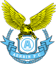 Logo for Dalian Professional FC