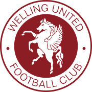 Logo for Welling