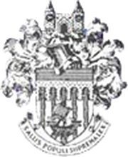 Logo for Tonbridge Angels