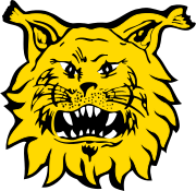 Logo for Ilves