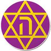 Logo for Hakoach Amidar Ramat Gan