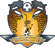 Logo for Hougang United FC