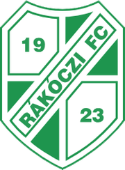 Logo for Kaposvari