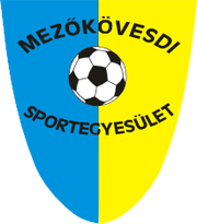 Logo for Mezokovesd SE