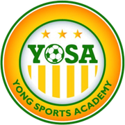 Logo for Young Sports Academy