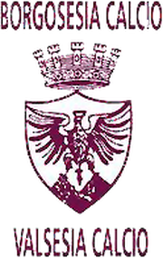 Logo for Borgosesia