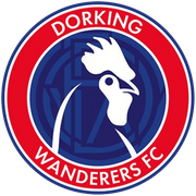 Logo for Dorking Wanderers