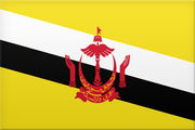 Logo for Brunei
