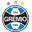 Gremio team