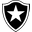 Botafogo RJ team
