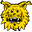 Ilves team