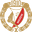 Widzew Lodz team