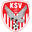 Kapfenberger SV team
