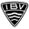 IBV Vestmannaeyjar team