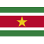 Flag for Surinam