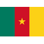 Flag for Cameroun