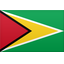 Flag for Guyana