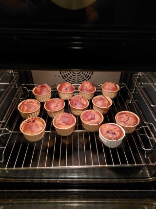 Quark-Wildheidelbeeren-Brötchen