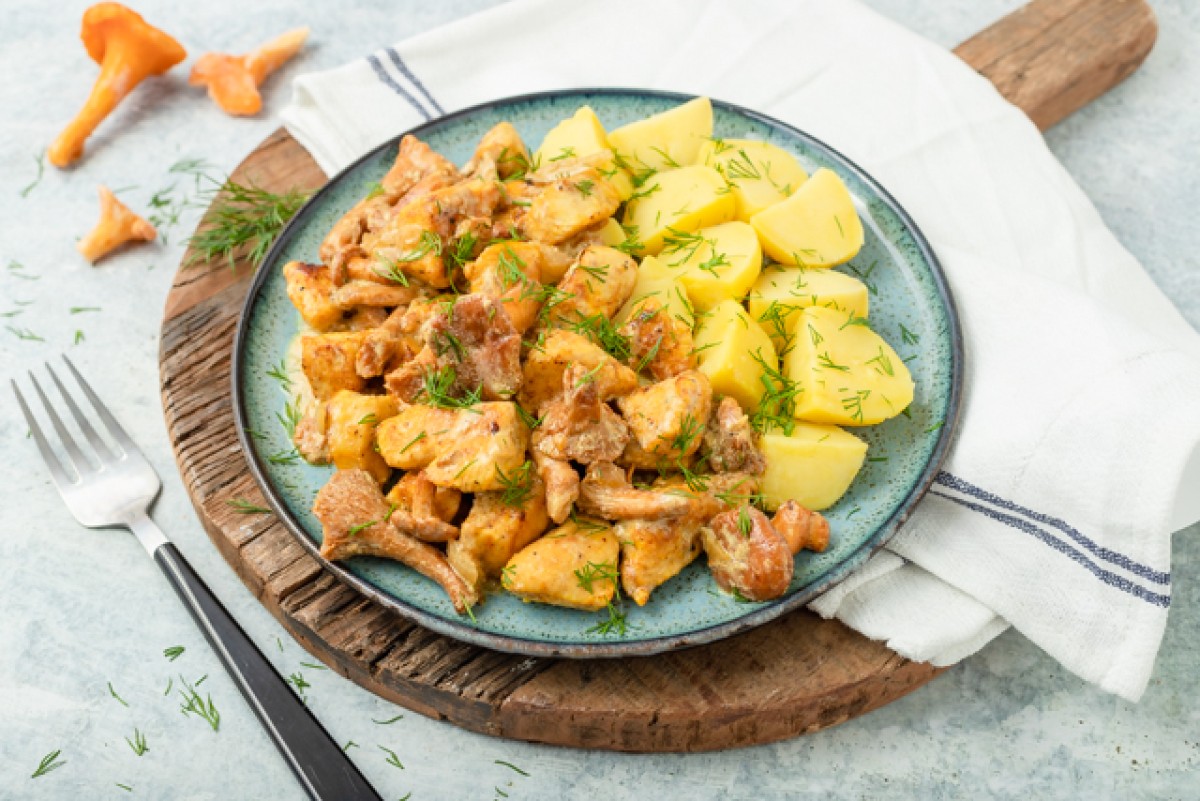 Chicken in chanterelle sauce with potatoes