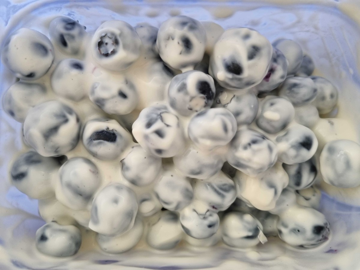 Heidelbeeren mit Vanille-Quark-Creme (High-Protein)