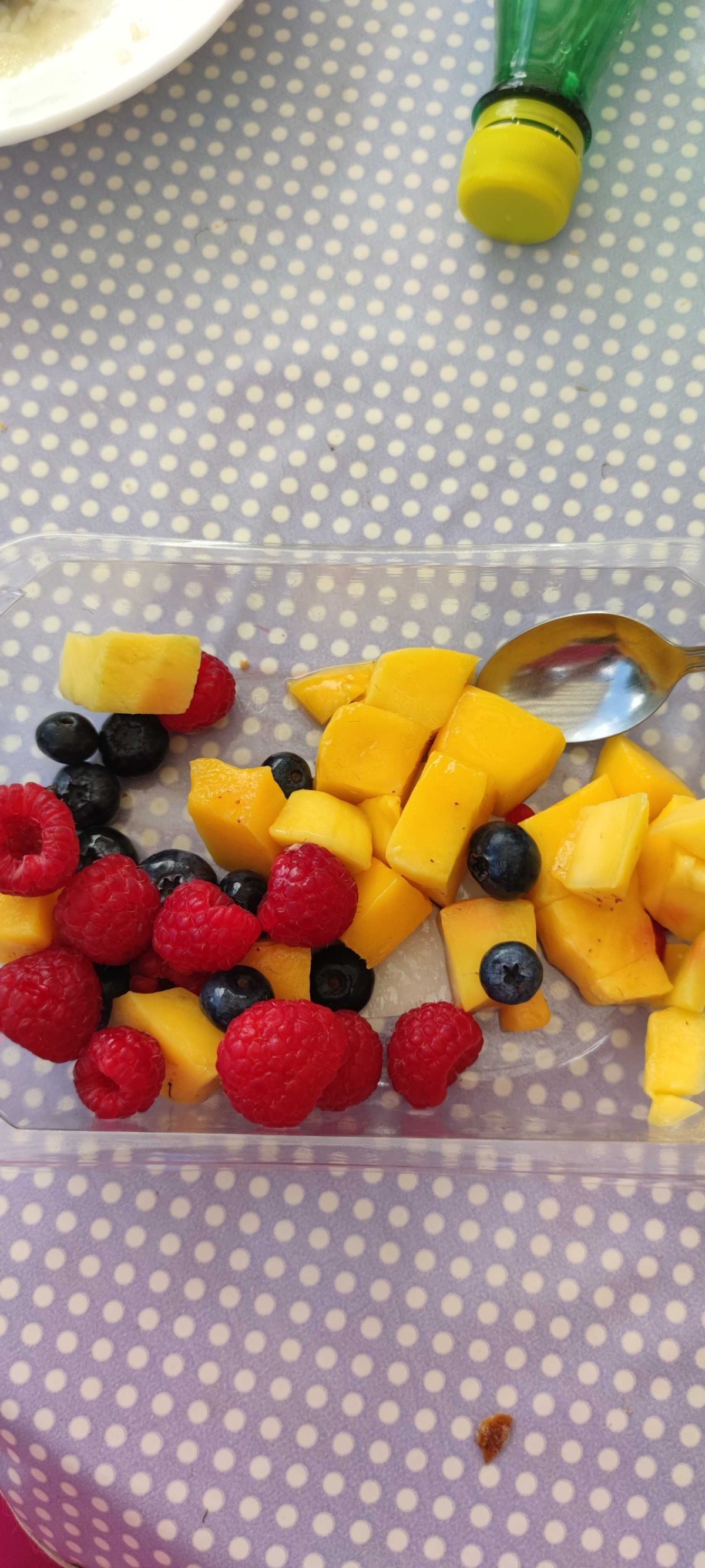 Mangue myrtilles framboises grand frais