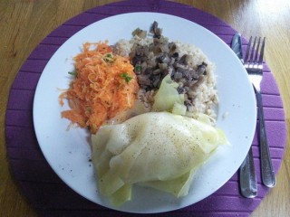 Steamed chicken roulades with rice and carrot and celery salad