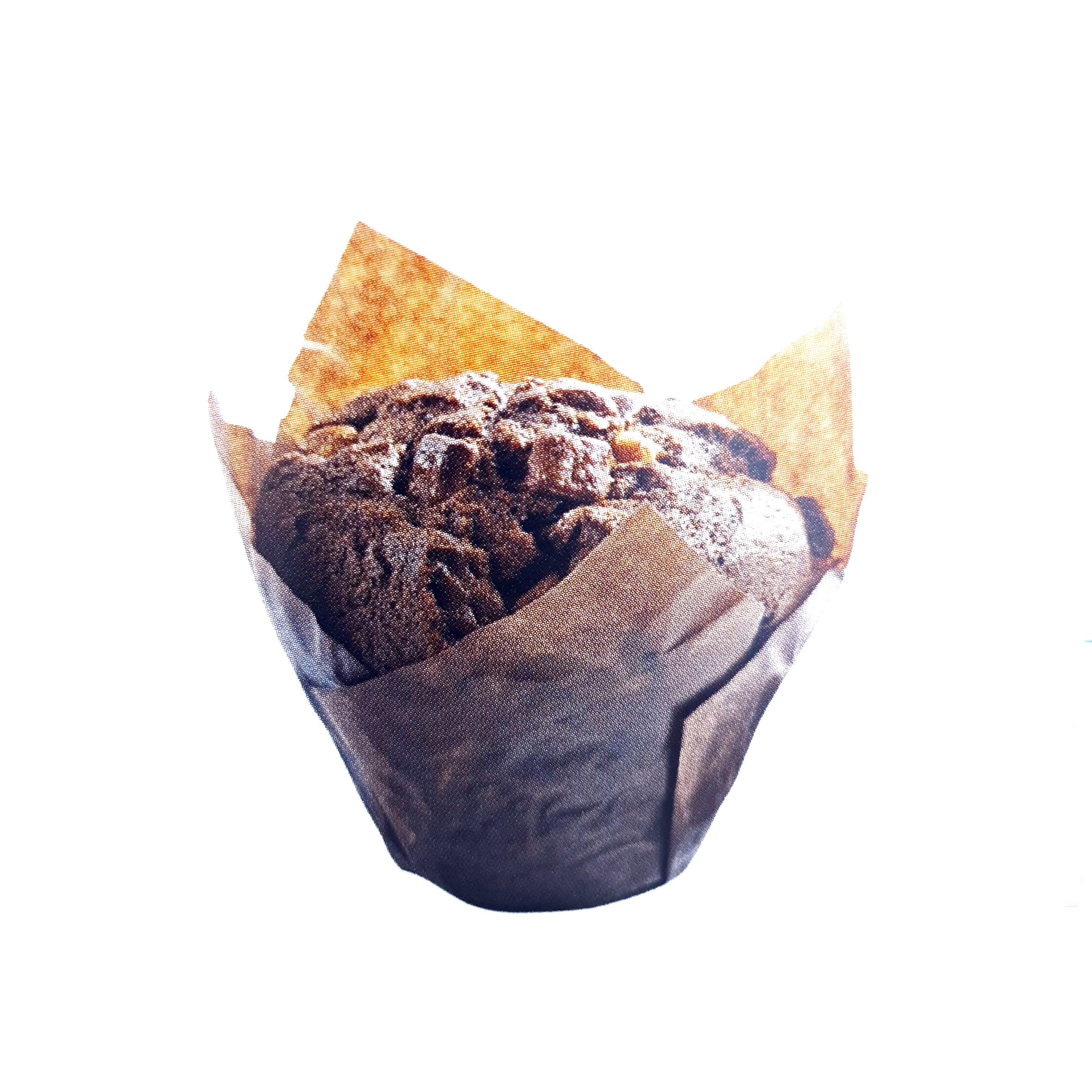 Double Chocolate Muffins