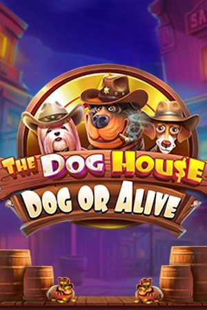 The Dog House - Dog or Alive