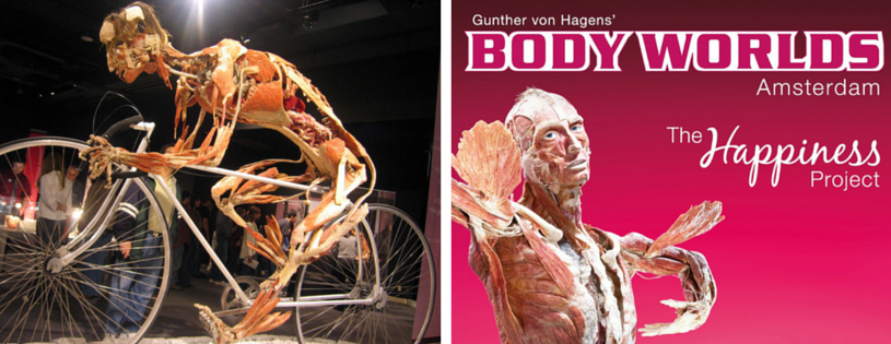 Musée de l'anatomie Amsterdam Body Worlds