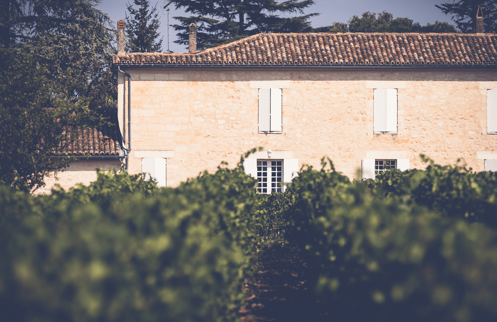 wine tasting winery bordeaux scenery