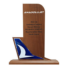 Anadolu Jet Kayseri Satış Birinciliği