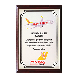 Pegasus Teşekkür Plaketi