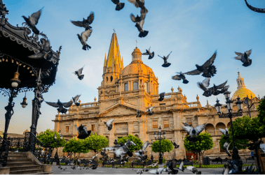 Guadalajara
