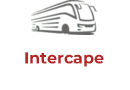 Intercape