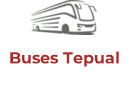 Buses Tepual