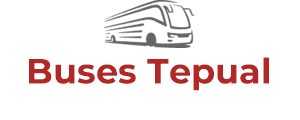 Buses Tepual