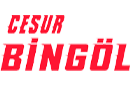 Cesur Bingöl