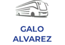 GALO ALVAREZ 