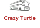 Crazy Turtle