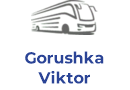 Gorushka Viktor Yevgenyevich PE