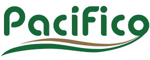 Pacifico