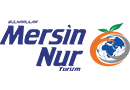 Mersin Nur Turizm