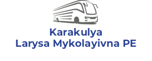 Karakulya Larysa Mykolayivna PE