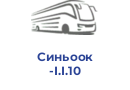 Синьоок І.І.10