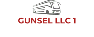 GUNSEL LLC 1