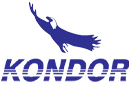 Kondor
