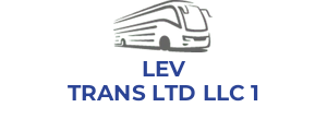 LEV TRANS LTD LLC 1